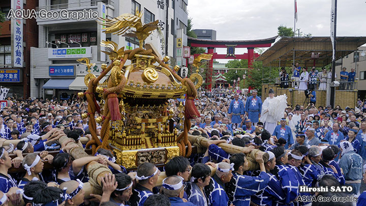 深川八幡祭り・神輿連合渡御・富岡八幡宮例大祭