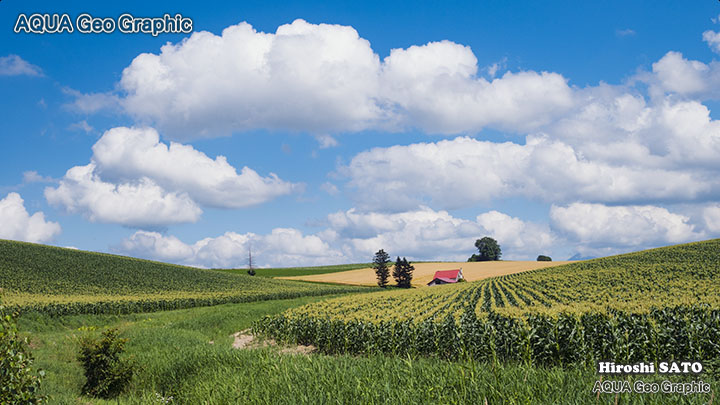 北海道 美瑛の丘 日本の絶景 絶景スポット 赤い屋根のある丘
