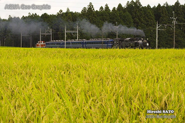 #sl大樹 #撮り鉄 #蒸気機関車 #鉄道