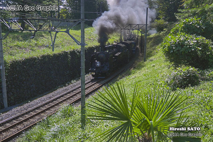 #sl大樹 #撮り鉄 #蒸気機関車 #鉄道