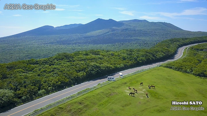 伊豆大島 三原山 ブルーヘイズ農場 与那国馬 乗馬