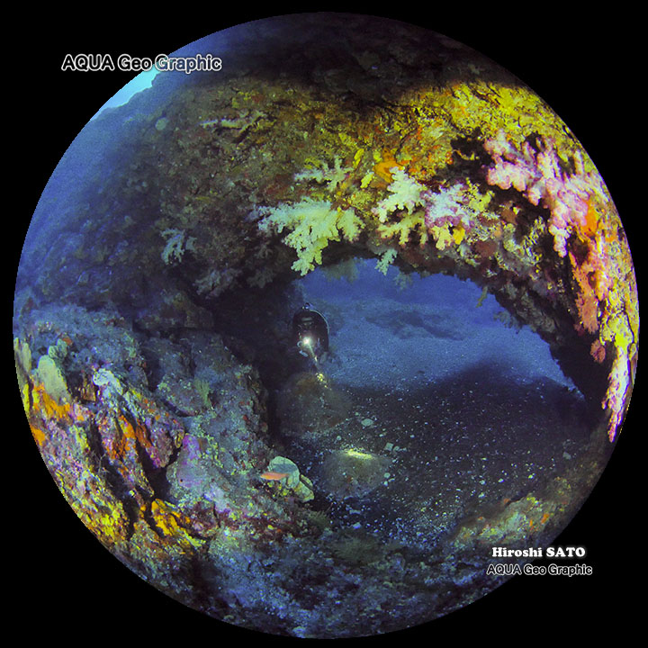 360VR トリプルアーチ 水中VR映像 伊豆大島ジオパーク 水中景観 