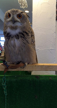 201511240314_1-200x376.jpg