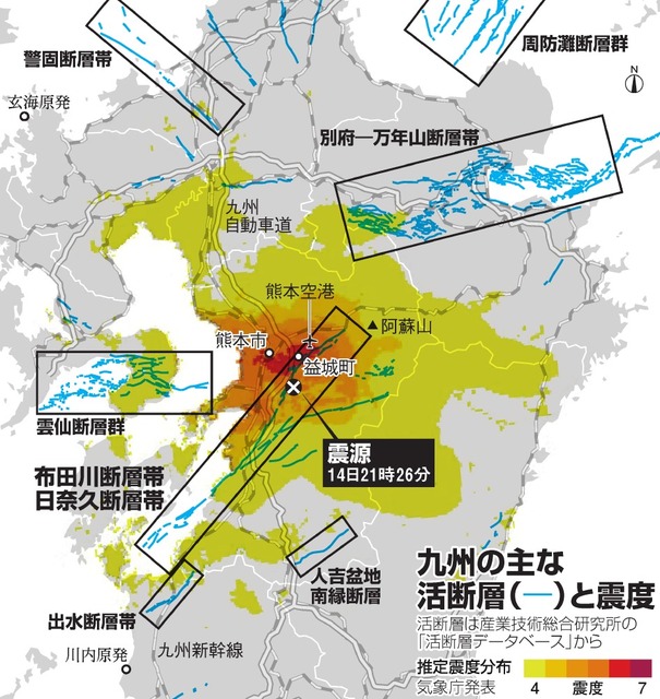 写真・図版