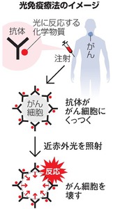 写真・図版