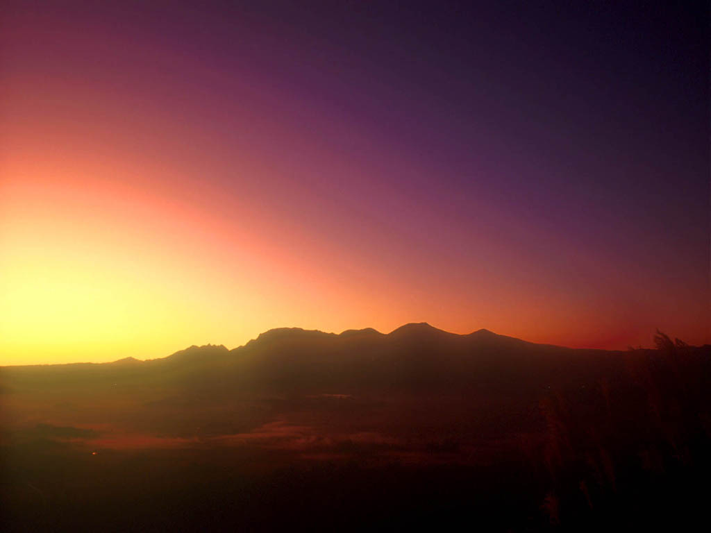 クリックすると新しいウィンドウで開きます