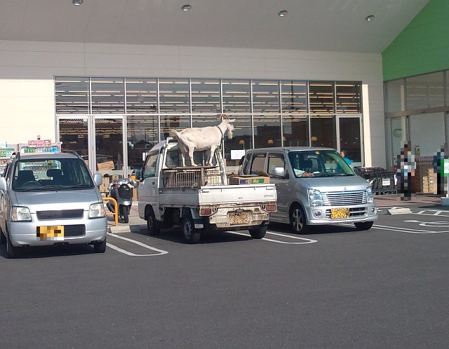 クリックで拡大