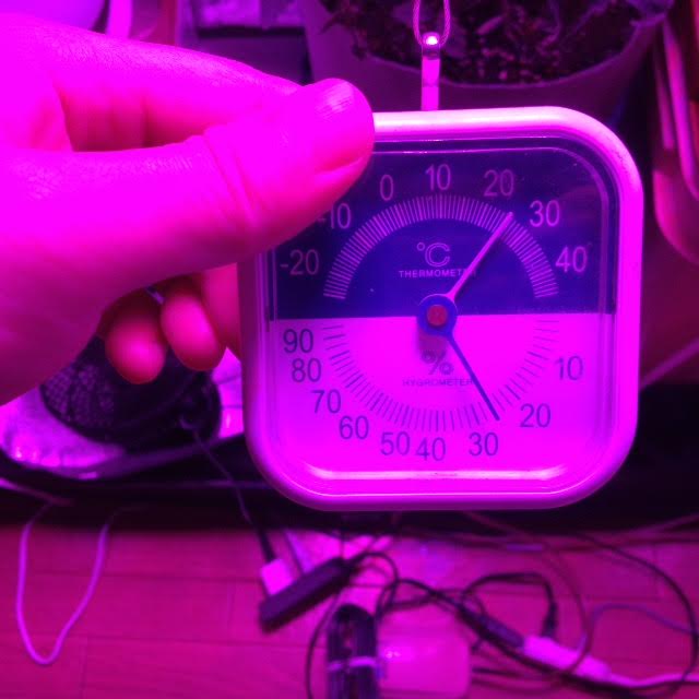 wp888