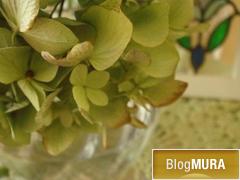 ブログランキング・にほんブログ村へ