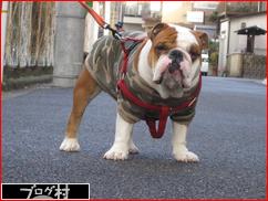 ブログランキング・にほんブログ村へ