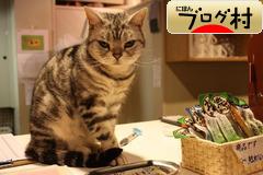 ブログランキング・にほんブログ村へ
