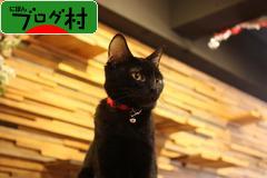 ブログランキング・にほんブログ村へ