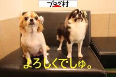 ブログランキング・にほんブログ村へ