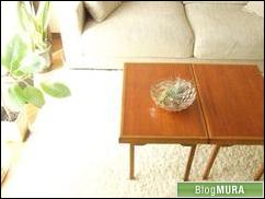 ブログランキング・にほんブログ村へ