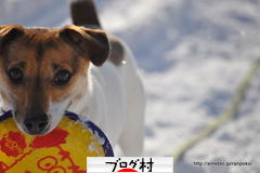 ブログランキング・にほんブログ村へ