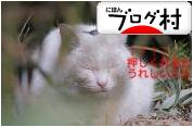 ブログランキング・にほんブログ村へ