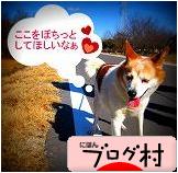 ブログランキング・にほんブログ村へ