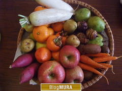 ブログランキング・にほんブログ村へ