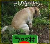 ブログランキング・にほんブログ村へ