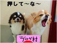 ブログランキング・にほんブログ村へ