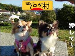 ブログランキング・にほんブログ村へ