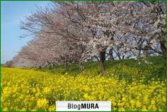 ブログランキング・にほんブログ村へ