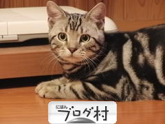 ブログランキング・にほんブログ村へ