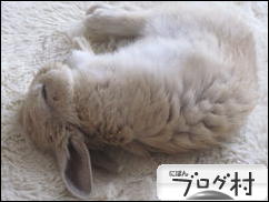 ブログランキング・にほんブログ村へ