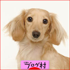 ブログランキング・にほんブログ村へ