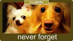 ブログランキング・にほんブログ村へ