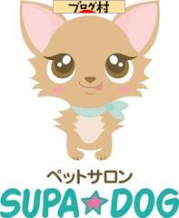 ブログランキング・にほんブログ村へ
