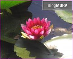 ブログランキング・にほんブログ村へ