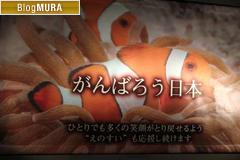 ブログランキング・にほんブログ村へ