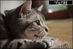 ブログランキング・にほんブログ村へ