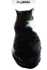 ブログランキング・にほんブログ村へ