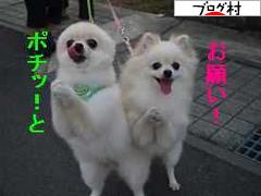 ブログランキング・にほんブログ村へ