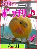 ブログランキング・にほんブログ村へ