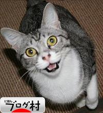 ブログランキング・にほんブログ村へ