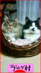 ブログランキング・にほんブログ村へ