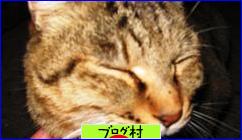 ブログランキング・にほんブログ村へ