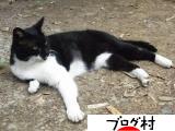 ブログランキング・にほんブログ村へ
