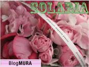 ブログランキング・にほんブログ村へ