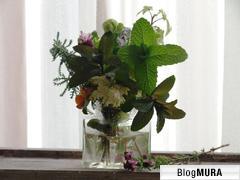 ブログランキング・にほんブログ村へ