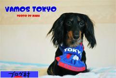 ブログランキング・にほんブログ村へ