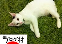 ブログランキング・にほんブログ村へ