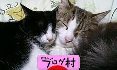 ブログランキング・にほんブログ村へ