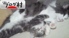 ブログランキング・にほんブログ村へ