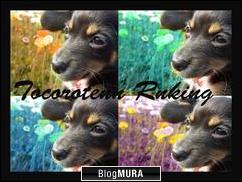 ブログランキング・にほんブログ村へ