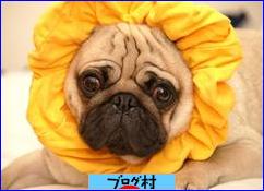 ブログランキング・にほんブログ村へ