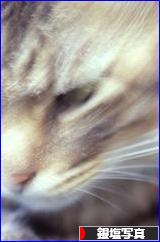 ブログランキング・にほんブログ村へ